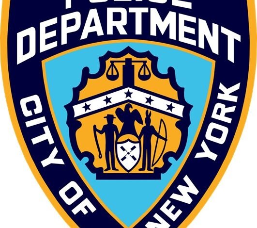 Violencia-en-vecindarios-NYC-residen-dominicanos-y-otras-etnias-531x470