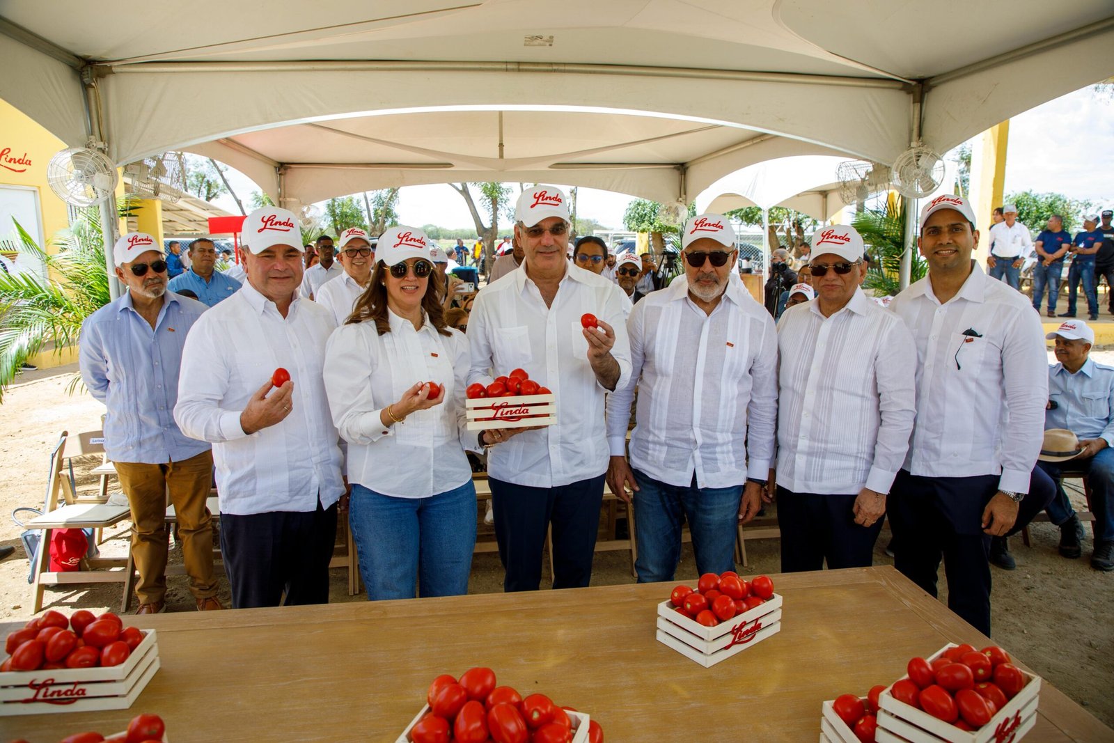 24f455c7-95e7-484a-9b00-828be80378dd 24f455c7-95e7-484a-9b00-828be80378dd