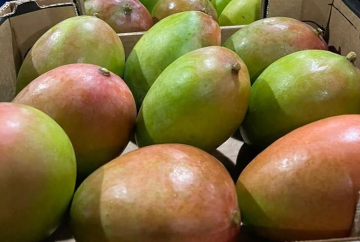 Retiran del mercado de NY, NJ, CT y PA mangos por riesgo de salmonela
